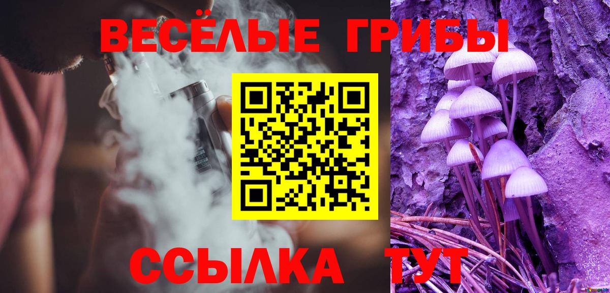 Галлюциногенные грибы Cubensis  Псилоцибиновые грибы Cubensis  Скопин  Вход с VPN 
