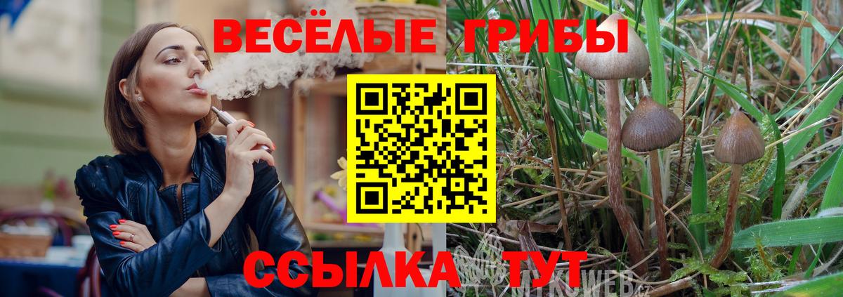 Псилоцибиновые грибы мицелий Скопин